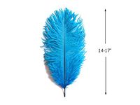 Ostrich Feathers, 14-17" Turquoise Blue Ostrich Drabs Feathers - 10 Pieces