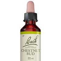 Chesnut Bud ( Bourgeon de Marronnier )
