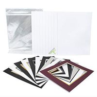 Golden State Art, Pack of 10 11x14 Double Picture Mats with White Core Bevel Cut for 8x10 Pictures + Backing + Bags, Mix Color