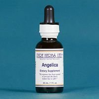 Angelica - 1 OZ