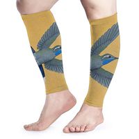 Calf Leg Compression Sleeve for Men Fall Hummingbirds Cycling Recovery Arm UV Protection Cover