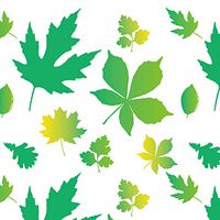 Eco Friendly Reusable Beeswax Wrap Stores Food Naturally with Zero Waste,Plastic Free Alternative for Food Storage - 1 Small, 1 Medium, 1 Large (3 Pack) (Green)