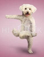 Hi-Look Microfiber Cleaning Cloth - Charlie White