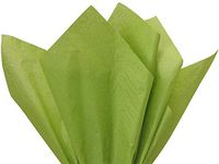 Oasis Green Tissue Paper 15x20" 480 Sheet Ream (2 Reams) - WRAPS-CT1OA