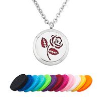 Jesse Ortega Aromatherapy Essential Oil Diffuser Necklace Flower Locket Pendant (No.6)
