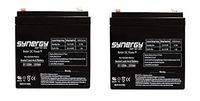 Replacement Batteries for UB1250 (2 Pack) 12V5Ah