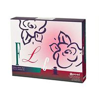 Functional Linguistic Communication Inventory (FLCI)