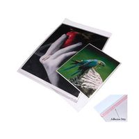 Print File Crystal Clear Art Protectors 5-1/4x7-1/8" Package of 100, Resealable Adhesive Strip (BOPP57)