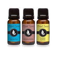 Trio (3) - Sandalwood, Eucalyptus & Ylang Ylang - Premium Fragrance Oil Trio - 10ML