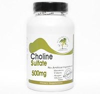 Chondroitin Sulfate 500mg ~ 100 Capsules - No Additives ~ Naturetition Supplements