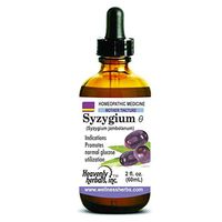 Syzygium Jambolanum Q - Mother Tincture - Promotes Normal Blood Sugar Levels Naturally - Promotes Normal Glucose Utilization - Homeopathic Natural Alternative - 2.0 Fl Oz (Alcoholic Extract)
