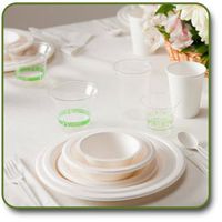 Biodegradable Disposable Party Place Setting Set Tableware With Cutlery