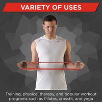 TheraBand Resistance Band Loop, Professional Latex Mini Band for Lower Pilates, Crossfit, Yoga, Stretching, Physical Therapy, Strength Training Without Weights, 12 Inch, Red, Medium, Beginner Level 2
