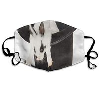 Face Mask White Hat Funny Rabbit Great Cycling Half Face Earloop Ski Mask for Women