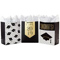 Hallmark 13" Large 2019 Graduation Gift Bags Assortment with Tissue Paper (Pack of 3, Black and Gold)