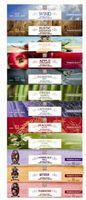 Hosley Aromatherapy 480 Pack Incense Lavender Eucalyptus Mint Sandalwood Sweet Pea Jasmine Tropical Mist Apple Cinnamon Fresh Bamboo Dragon's Blood Myrrh Lavender Lilac Frank Incense O3