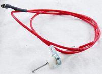 Lochinvar A.O. Smith 100109827 Pilot