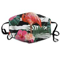 Face Mask Flamingo Stripe Inspiring Cycling Half Face Earloop Dust Mask for Boys