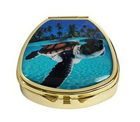 Youroom Custom Stainless Steel Gold Fan Shaped Glass Pill Case Medicine Vitamin Manager Decorative Box (A Baby Green Sea Turtle)
