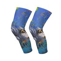 Knee Sleeve Gray Kitten in Night Nature Landscape Full Leg Brace Compression Long Sleeves Pant Socks for Running, Jogging, Sports, Crossfit, Basketball, Joint Pain Relief, Men and Women 1 Pair