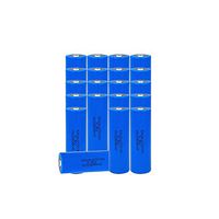 ER261020 Lithium Battery ER 261020 3.6V 16000mAh Li-SOCl2 Battery 20pcs