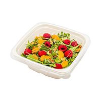 Pulp Tek Square Clear Plastic Flat Lid - Fits 24/32 / 42 oz Bagasse Tall Bowl - 100 count box - Restaurantware