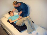 SafetySure Transfer Slide - Large - 24" x 78"