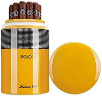 XUEJIN YSYYSH Cigar Box Cigar Travel Humidor - Holds Multiple Cigars, Popular Ceramics Cigar Humidor Case Cigar Storage