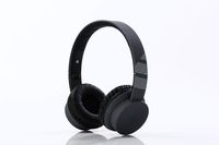 LORELEI EP-19 Wied Headphones for Children Girls Boys Teens with Mic and 3.5mm Socket Compatible Cellphone ipad comptuer MP3/4 (Black)