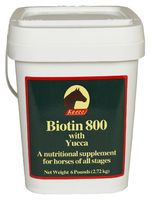 KAECO GROUP INC BIOTIN 800 Powder 6LB D/S