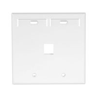 Leviton 42080-1WP 1-Port Dual Gang QuickPort Wallplate with ID Windows, White