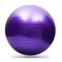 65cm Exercise Gym Yoga Swiss Ball Fitness Pregnancy Birthing Anti Burst + Pump, Fitness & Yoga Equipment, Outdoor Sports Products Hotsales
