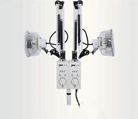 500W Double Head TDP Heat Lamp Electromagnetic Light Mineral Therapy Apparatus for Pain Relief Floor Stand Type