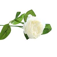 scamper Night Rose Artificial Flower Fake Home Wedding Decoration Wall Mist Smog Bouquet Flowers Roses Real DIY Bouquets