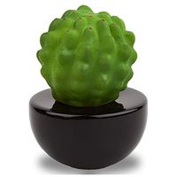 Lively Breeze Frank Cactus, Non-Electric Ceramic Diffusers for Essential Oils and Aromatherapy Fragrance, White Ceramic Diffusers in Car or Desk Office Decor and Small Bathroom at Home, Black vase