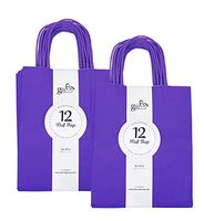 24CT Medium Purple Biodegradable, Food Safe Ink & Paper, Premium Quality Paper (Sturdy & Thicker), Kraft Bag with Colored Sturdy Handles (Medium, Purple)