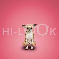 Hi-Look Microfiber Cleaning Cloth, dog design - Yoga Dog - Tiny