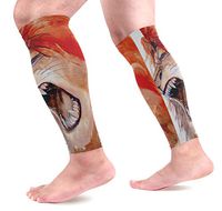 LEVEIS Ethnic Lion Arm Sleeves UV Protection for Men Women Sunblock Protective Gloves Running Golf Cycling Driving Long Arm Cover 1 Pair