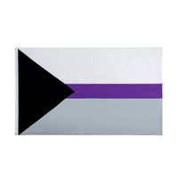 FLAGLINK Demisexual Pride Flag- 3x5 Fts - LGBTQIA Demisexuality Gender Rainbow Banner