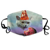 Mouth Mask Funnt Cat And Food Fashion Earloop Face Mask For Kids Teens Men Women Winter Summer