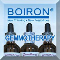 Gemmotherapy - Silver Birch, Seeds - 2oz