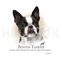 Hi-Look Microfiber Cleaning Cloth, dog design - Boston Terrier