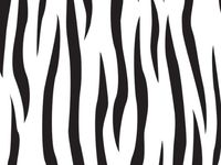All Occasion Cello Gift Wrap - 30" x 100' - Zebra
