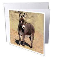 3dRose Miniature Donkey - Greeting Cards, 6 x 6 inches, set of 12 (gc_1236_2)