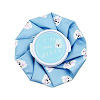 Reusable Hot Cold Therapy Ice Bag Cute Ice Packs for Sports Recovery, Pain Relief, Fever, Arthritis, Neurological Issues