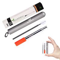 Collapsible Telescopic Stainless Steel Straw – Reusable Metal Straw with Case, Keyring, Cleaning Brush and Silicon Tip in a Giftable Box – Silver Case