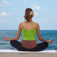 Relaxso Heat Back Therapy Lumbar Wrap, Natural Bamboo Cranberry