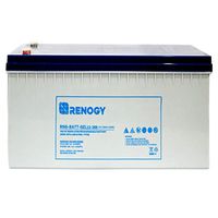 Renogy 12V 200Ah Rechargeable Deep Cycle Pure Gel Battery Maintenance Free for RV, Golf Cart, Solar, Marine, and Off-Grid Applications