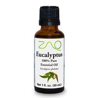 ZAQ Eucalyptus 100% Pure Aromatherapy Essential Oil, 1 Fl Oz Bottle by ZAQ