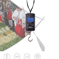 Witspace Digital Scale for Fishing Luggage Steelyard Hanging Electronic Scale 40kg x 5g